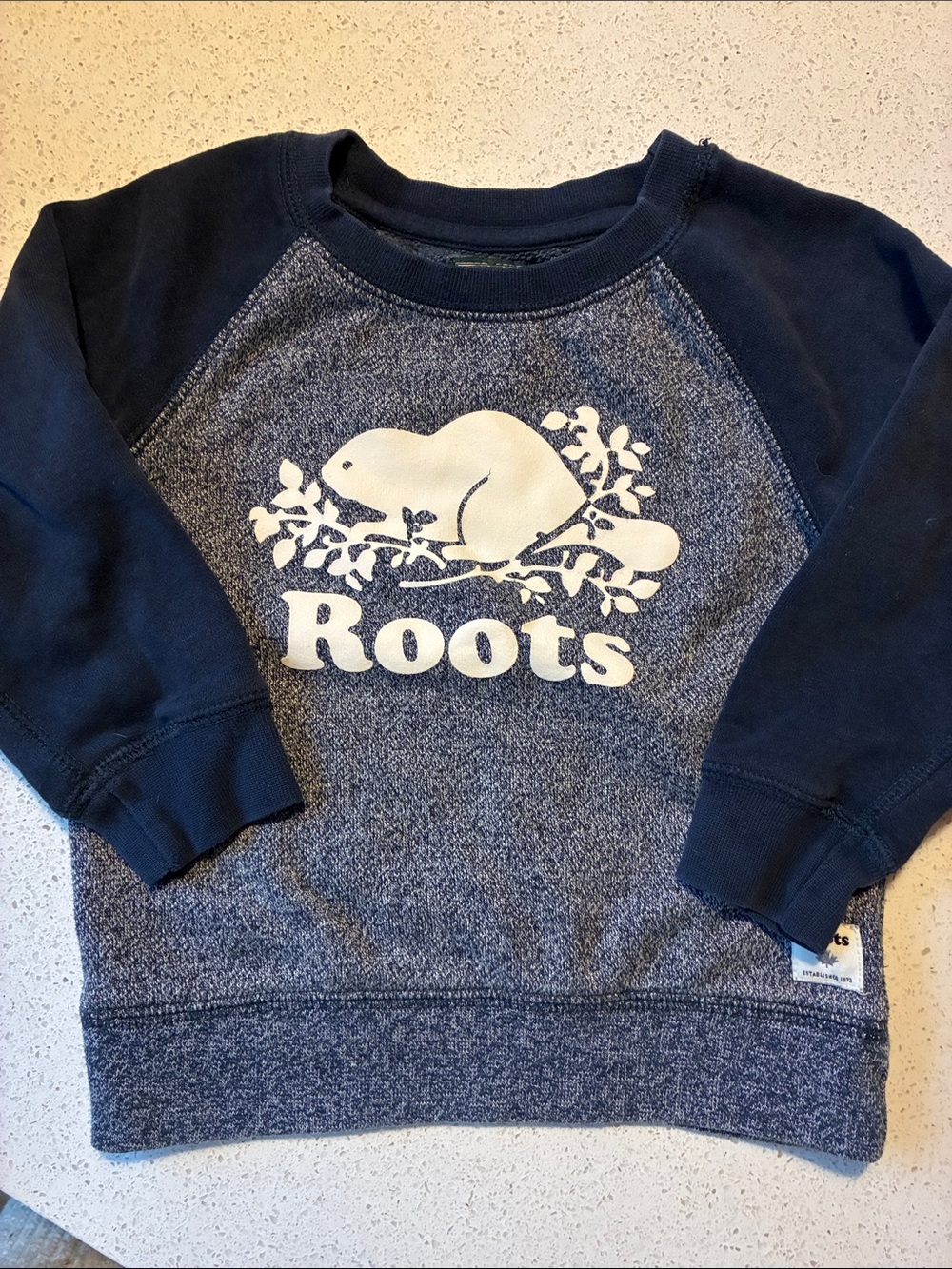 Roots Navy and Heather Gray Kids Logo Crewneck Sweatshirt
